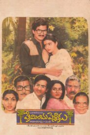 Preminchu Pelladu 1985 one on netflix