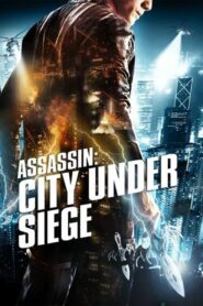City Under Siege 2010 one on netflix