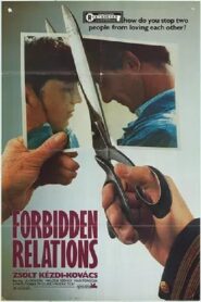 Forbidden Relations 1983 one on netflix