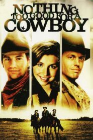 Nothing Too Good for a Cowboy 1998 one on netflix