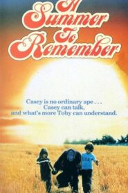 A Summer to Remember 1985 one on netflix