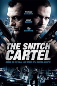 The Snitch Cartel 2011 one on netflix