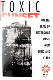 Toxic Sunset 1993 one on netflix