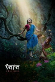 Vara : A Blessing 2013 one on netflix