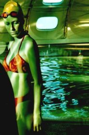 The Deep End 2006 one on netflix