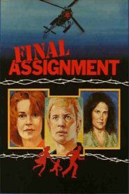 Final Assignment 1980 one on netflix