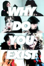 Why Do You Exist? 1998 one on netflix