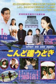 When We See Again 1996 one on netflix