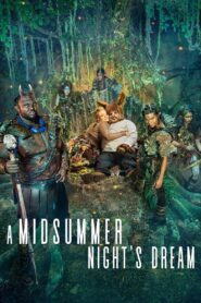 A Midsummer Night’s Dream 2016 one on netflix