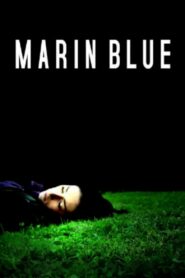 Marin Blue 2008 one on netflix