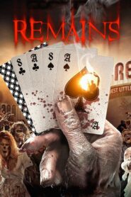 Remains 2011 one on netflix