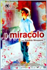 The Miracle 2003 one on netflix