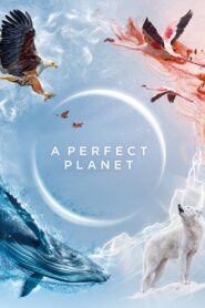 A Perfect Planet 2021 one on netflix