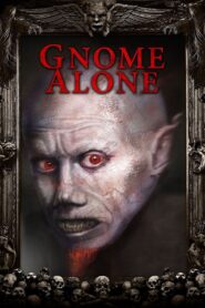 Gnome Alone 2015 one on netflix
