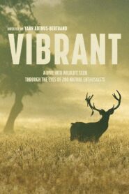 Vibrant 2023 one on netflix