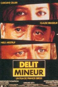 Délit mineur 1994 one on netflix