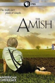 The Amish 2012 one on netflix
