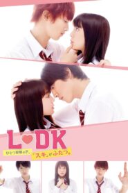 L♡DK: Two Loves Under One Roof 2019 one on netflix