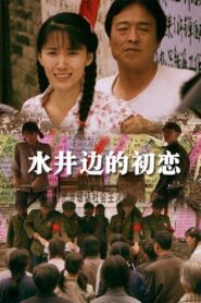 The Romance beside the Well 2013 one on netflix