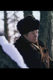 Metsade taga 1981 one on netflix