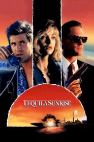 Tequila Sunrise 1988 one on netflix