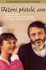 Vážení přátelé, ano 1989 one on netflix