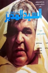 Mr. Director 1990 one on netflix