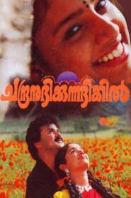 Chandranudikkunna Dikhil 1999 one on netflix