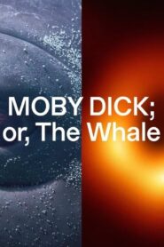 MOBY DICK; or, The Whale 2022 one on netflix