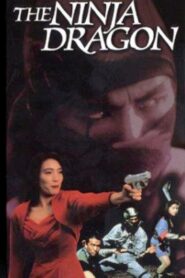Legend of the Shadowy Ninja: The Ninja Dragon 1990 one on netflix