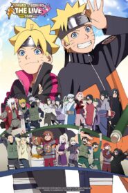 Naruto to Boruto: The Live 2019 2019 one on netflix