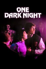 One Dark Night 1982 one on netflix