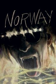 Norway 2014 one on netflix