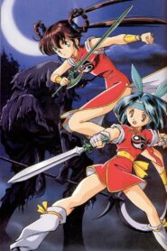 Devil Hunter Yohko 2 1992 one on netflix
