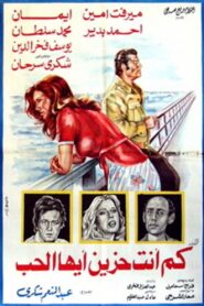 كم أنت حزين أيها الحب 1980 one on netflix
