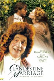 The Clandestine Marriage 1999 one on netflix