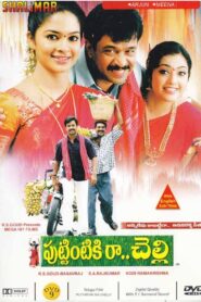 Puttintiki Raa Chelli 2004 one on netflix