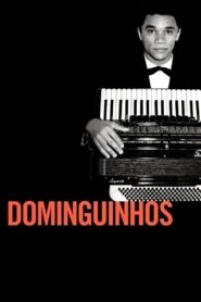 Dominguinhos 2014 one on netflix