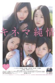 Devotion to Cinema 2016 one on netflix