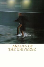 Angels of the Universe 2000 one on netflix