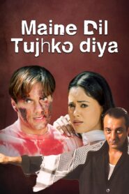 Maine Dil Tujhko Diya 2002 one on netflix