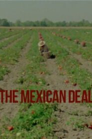 Le Deal mexicain 1980 one on netflix
