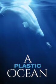 A Plastic Ocean 2016 one on netflix