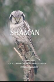 The Shaman 1997 one on netflix