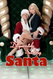 Desperately Seeking Santa 2012 one on netflix