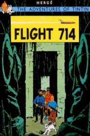 Flight 714 1992 one on netflix