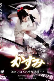 Lady Ninja Kasumi 8: Clash! Kouga vs. Iga Ninja 2009 one on netflix
