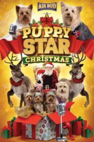 Puppy Star Christmas 2018 one on netflix