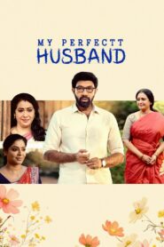 My Perfectt Husband 2024 one on netflix