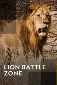 Lion Battle Zone 2012 one on netflix